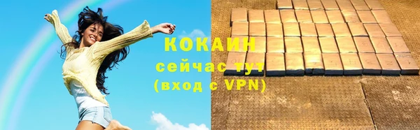 индика Абдулино