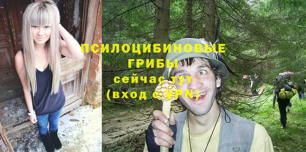 индика Абдулино
