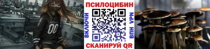 Псилоцибиновые грибы мухоморы  закладки  Кингисепп 