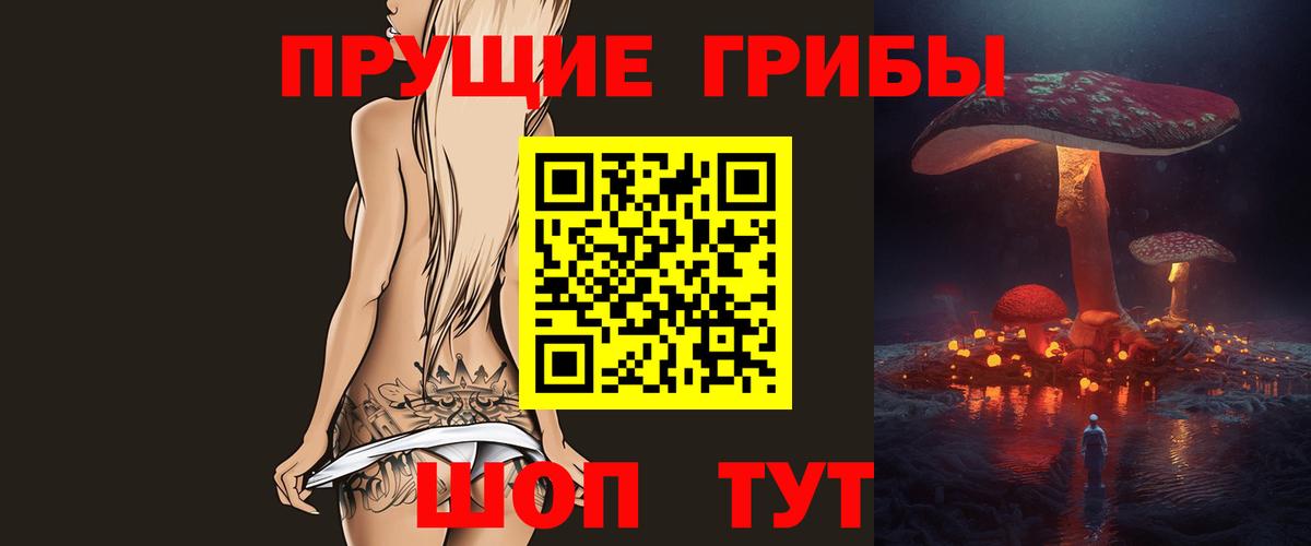 Псилоцибиновые грибы мицелий Кингисепп